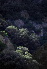 Naklejka na ściany i meble Gorge d'Heric Languedoc France. Rocks. Canyon. Valley