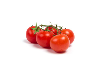 Tomatoes on a branch on a white background