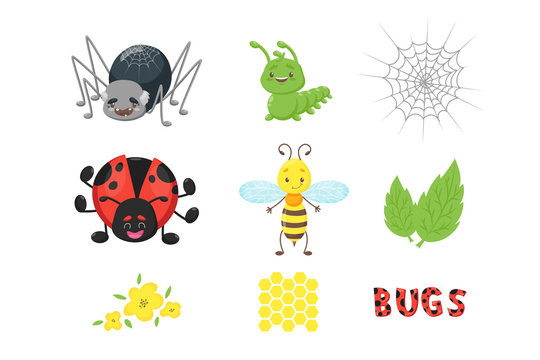 Bug or insect set. Spider, caterpillar or worm, ladybird, bee or wasp, leaves, flowers, honeycomb, dotted letters. Cute vector mascot character for logo, icon, sticker, nursery design, holiday party
