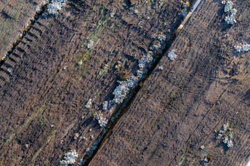 old boards of overgrown moss