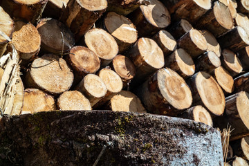 Timber stacks at Bonny Glen in County Donegal - Ireland