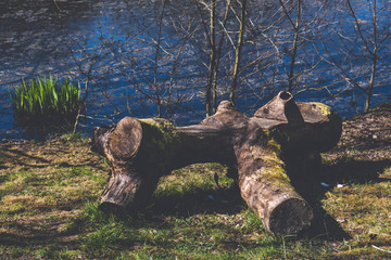 old log made for sitting on the lake