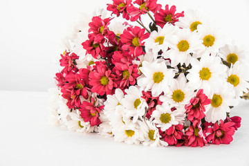gift for a girl, a large bouquet of red and white chrysanthemums