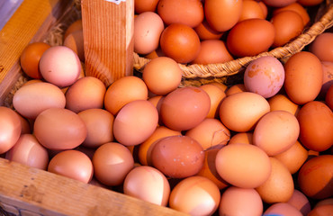 Farm fresh eggs in basket closeup