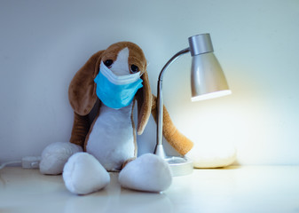 Doll in the shape of a dog with a blue face mask sitting sadly on a desk next to a night lamp, Corona virus protection