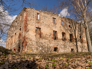 wonderful landscape with ruins of an old manor house, trees in the old building, early spring
