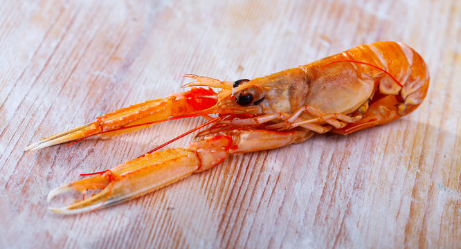 Raw langust ready for cooking