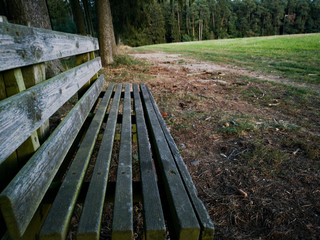Fototapeta premium Forest Bench