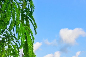Blue sky white clouds for background
