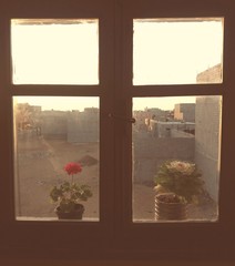 Morning rays in Window