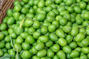 Italian fresh, green olives