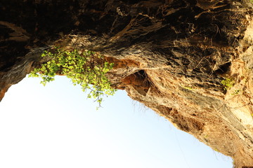 Benidoleig  generalitat valenciana grotte et fossiles