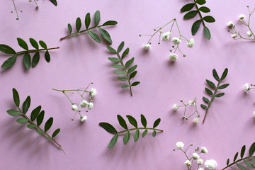 flowers and leaves on pastel pink violet background. spring concept
