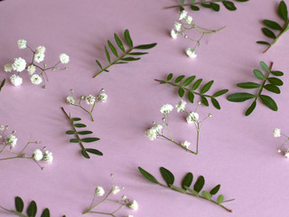flowers and leaves on pastel pink violet background. spring concept