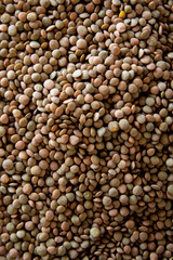 brown lentils on white surface