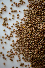 brown lentils on white surface