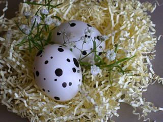 happy easter. easter greeting card. composition of dotted freckled easter eggs in paper nest with flowers and leaves on pastel background. Eggs are hand-drawn. Flat lay style.