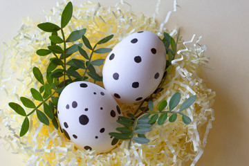 happy easter greeting card. dotted easter eggs with leaves in paper nest on pastel background. freckled easter eggs