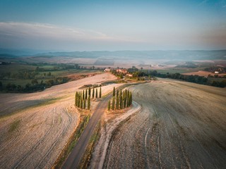 rural road in the morning
