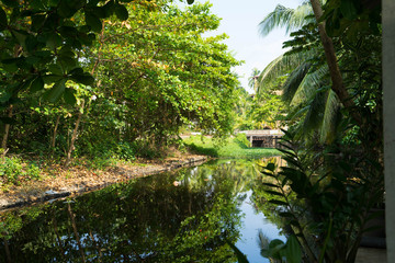 Fototapeta na wymiar river in green tropical forest
