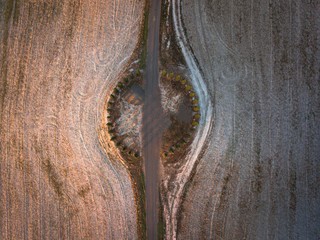 close up of a tree bark