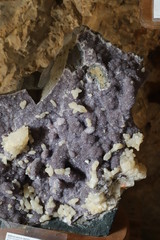 Benidoleig  generalitat valenciana grotte et fossiles