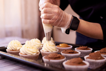 Chocolate cupcakes with a swirl of cream.Female hands fill cupcakes on a baking sheet. - Powered by Adobe