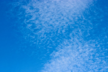 Fototapeta na wymiar Cirrocumulus clouds in the blue sky. Natural background with copy space for text.