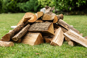 firewood in the garden