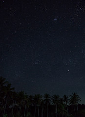 Naklejka premium Camping on a beach with thousands of stars in very dark sky. Many palm trees undiscovered place in Sawarna, Banten, Java