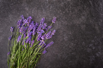 Fresh lavender flowers