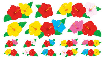 ビビッドなハイビスカスの花のベクターイラストセット