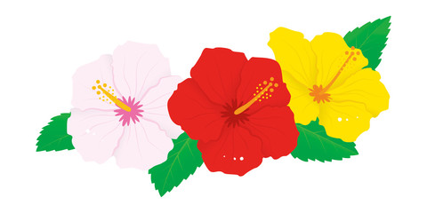 赤と白と黄色のハイビスカスの花のベクターイラスト © hoshisei