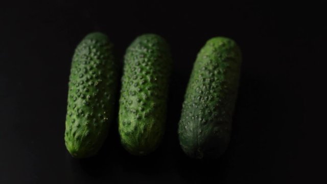 Caucasian hand places four fresh whole pickling cucumbers in a row on black background