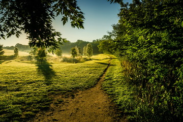 walking or running trail in a city park at sunrise