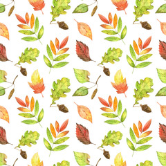 Watercolor seamless pattern with mushrooms, fall leaves, pumpkies, branches, berry and other plants. Natural autumn forest background ideal for baby fabric and wrapping paper