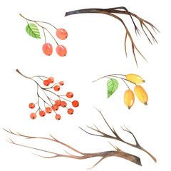 Watercolor autumn brunches set