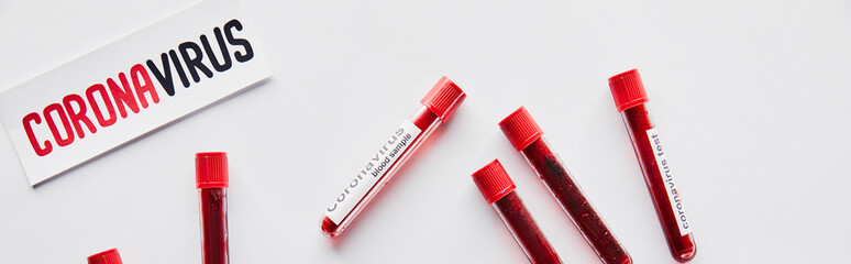Obraz premium panoramic shot of test tubes with blood samples and coronavirus test near paper with coronavirus lettering on white