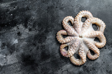 Obraz na płótnie Canvas Fresh raw octopus on the table. Black background. Top view. Copy space