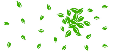 Falling green leaves. Fresh tea neat leaves flying