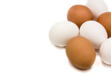 Brown and white eggs isolated on white background. Copy space