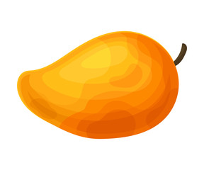 Orange Tropical Mango Fruit Isolated on White Background Vector Illustration