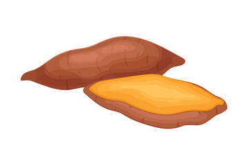 Orange Batata Vegetable Isolated on White Background Vector Illustration