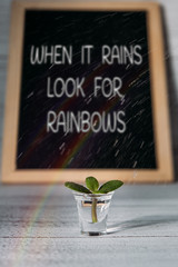 Motivation quote WHEN IT RAINS LOOK FOR RAINBOWS and small plant that is watered. Comforting words,...