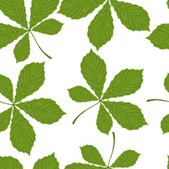 Naklejka na ściany i meble Botanical pattern of chestnut leaves on a white background. Illustration with city trees. Good for textile decor, packaging of organic products, paper, creating posters and backgrounds.
