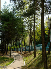 도시의 숲