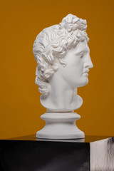 White plaster statue of a bust of Apollo Belvedere on a yellow background