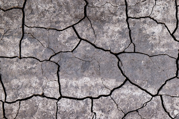 Dry lifeless land covered with cracks
