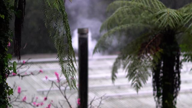 A smoke comes from a tall chimney framed by high palm-like green firns.