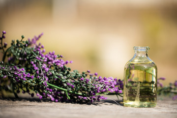 Obraz na płótnie Canvas lavender oil in a glass oil